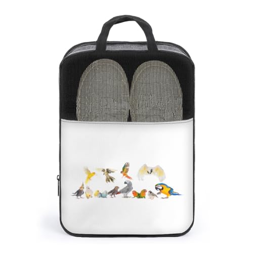 V[YP[X ʔ CR   IE V[YobO V[Y|[` V[Y gx|[` C  V[Y o s y ^тɕ֗ [obO ւ jp AEghA o s v[g