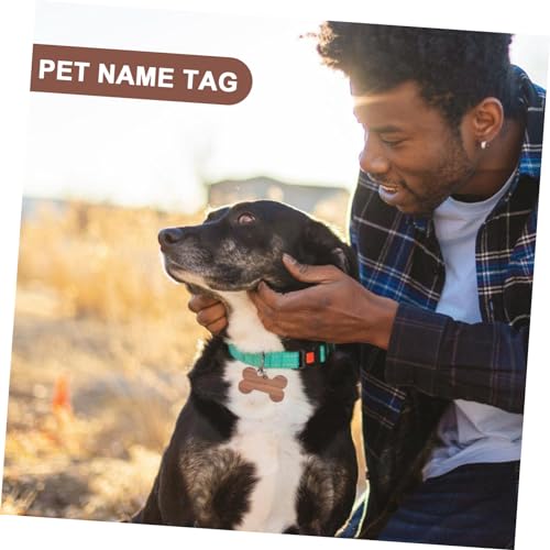 Étiquettes d'identification os de chien gravées médaillon personnalisé collier x3