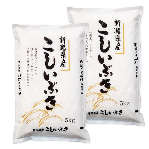 新米 令和7年産 新潟産 こしいぶき 10kg(5kg×2袋)