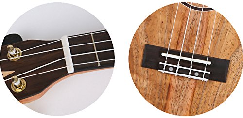 DUC450 Concert Ukulele – Mango - Les Beatles, Paul McCartney, John Lennon, RIngo Starr, George Harrison DUC450 Concert Ukulele - Mango – Image 7