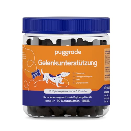PupGrade Gelenkunterstützung für Hunde – Glucosamin-Chondroitin mit MSM & Grünlippmuschel – Hüft- & Gelenkschmerzlinderung – Für Hunde Aller Größen, Rassen und Altersgruppen – 30 Weiche Kausnacks