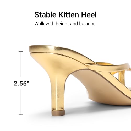 Image of DREAM PAIRS Kitten Heels for Women Flip Flops Slip on Low Heels Open Square Toe Thong Heeled Strappy Sandals Slides Comfortable Dress Shoes