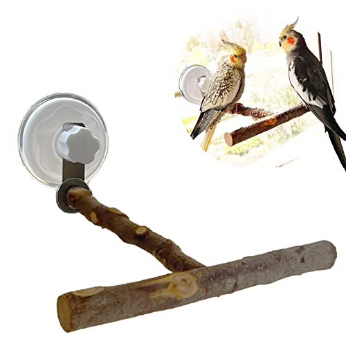 Portable Bird Perch Stand- T-Shaped Natural Apple Wood with Vacuum-Grip Suction Cup for Windows Flat Tiles Bath/Car/Travel - Durable & Safe for Parrots Cockatiels Lovebirds (Small to Medium Birds)