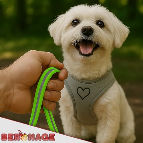 Schleppleine Biothane Romeo ca. 10 m – Reflektierend & wasserfest – mit Rückdämpfer & Haltegriff – für kleine & mittelgroße Hunde – ideal für Rückruf, Training & Freilauf (Grün)