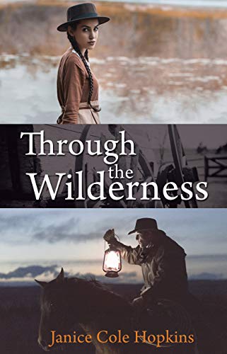 Through the Wilderness view 2