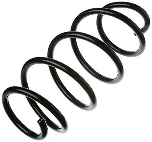 Price comparison product image lesjofers 4095050 Coil Spring Front