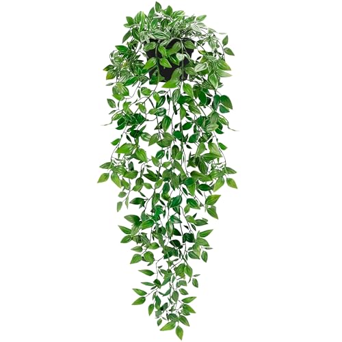 IplH݂艺AAtFCNA̗΂̐A tFCN䶗̂ z[fR[Vp