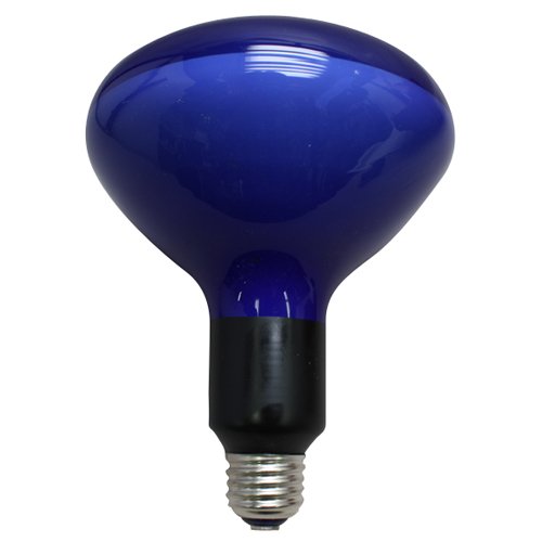 Amazon.co.jp: Iwasaki Eye Lamp for Photo Lighting PRF500WD Flood 