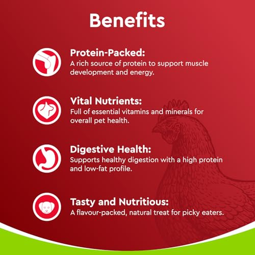 Image of Drools Puppy & Adult Dog Treats Dehydrated Chews Giblets 70g | Real Chicken Flavour | Vital Nutrients | Digestive Health | Protein-Packed | Tasty & Nutritious