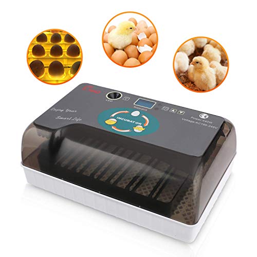 Best Incubators