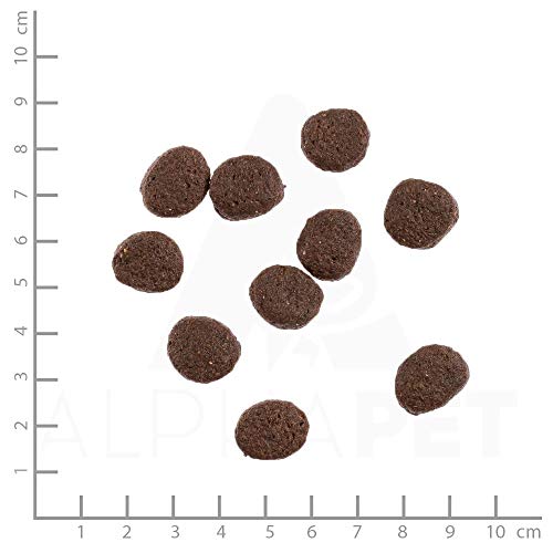 Wildes Land - Nr. 6 Forelle & Lachs - 1 kg - mit Kartoffeln und Wildkräutern - Glutenfrei - Trockenfutter für Hunde - Hundefutter mit hohem Fleischanteil - Hohe Verträglichkeit