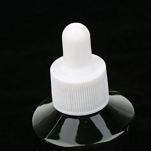 24 Flacons Compte-gouttes Portables pour Parfums et Voyages
