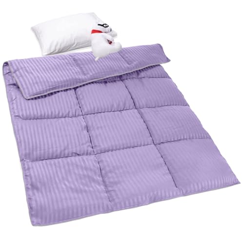 ZPECC Toddler Down Alternative Comforter, 39x47 Hypoallergenic Baby Blanket Quilt, Soft Breathable Lightweight All Season Kids Duvet Insert for Crib Stroller Cot Daycare, Purple Stripe