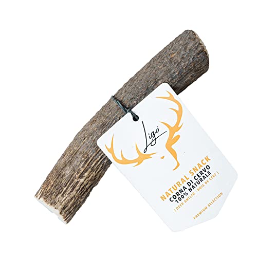 Ligo Corna di Cervo per Cani 100% Naturale Masticare Giocattolo Osso. Taglia L 151-220 g
