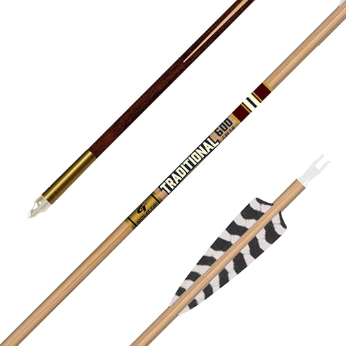 Tiges classiques traditionnelles marron Gold Tip lot de 400 pour réparer et stabiliser vos tirs