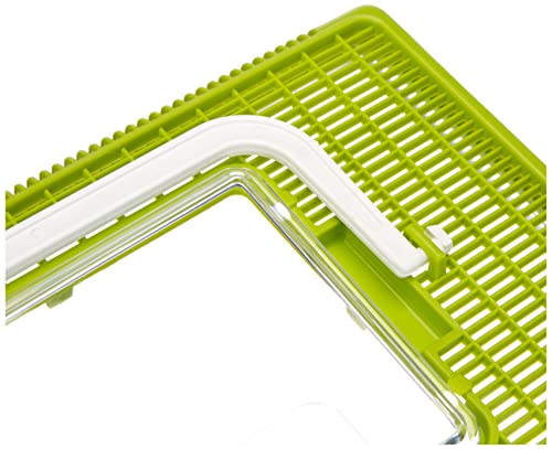 Ferplast Aquarium aus Kunststoff für Fische GEO Medium Tank 2,5 L Behälter für Kleintiere Aquarium Terrarium Insekten Schildkröten, Robuster Kunststoff, 23,2 x 15,3 x 16,6 cm, grün