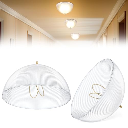 Dunkive 2 Pack 8 DIA x 4 1/4 Clip On Lamp Shade for A Type Bulb Acrylic