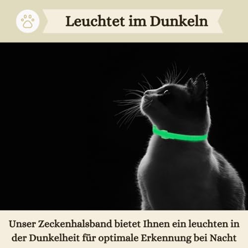 Animalea® Zeckenhalsband für Katzen (2 Stück) - Länge 38cm - wirksamer Schutz gegen Zecken und Flöhe - wasserfest und Leuchtend bis zu 8 Monaten Zeckenschutz mit 100% natürlichen Inhaltsstoffen