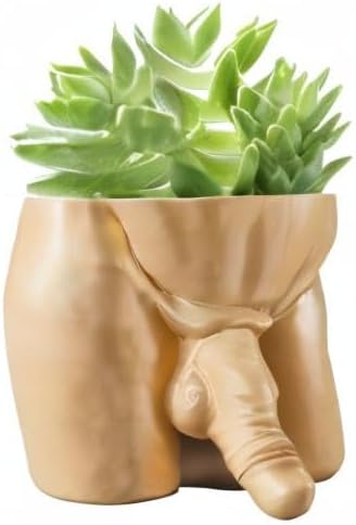 Miniatura 8 de Macetero para el pene, maceta de resina, jarrón con forma de cuerpo, macetas únicas y divertidas, arte para el pene de interior, jarrón desnudo para