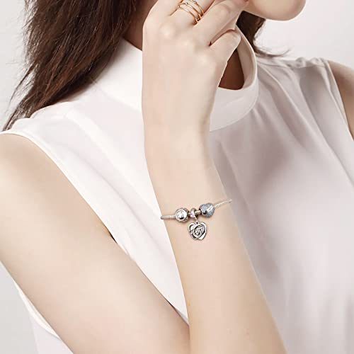 DALARAN Sister Mother Daughter Wife Charms for Bracelet Forever Always Love Charm for Birthday Christmas Sterling Silver Dangle Charm4