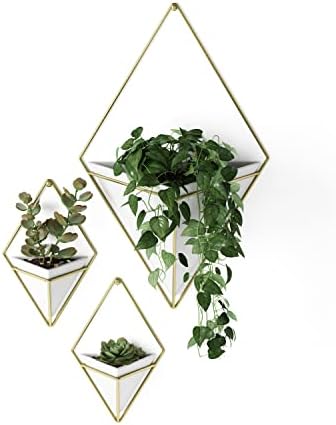Umbra Trigg Hanging Planter Vase & Geometric Wall Decor Concrete Container - Great For Succulent Plants, Air Plant, Mini Cactus, Faux Plants and More, Set of 2, Small, White/Brass