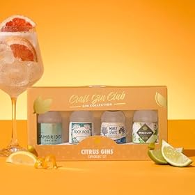 Craft Gin Club Citrus Gin Collection - Explorers' Gin Gift Set, Gin Gifts for Women, Christmas - 4 x 5cl Flavoured Gin, Cambridge Dry Gin, Rock Rose, Manly Spirits, Brass Lion - Small Batch Gin – BEAMS INTERNATIONAL