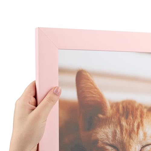 ArtToFrames 18x18 inch Baby Pink Stain on Beech Wood Picture Frame, 2WOM0066-81792-YPNK-18x18