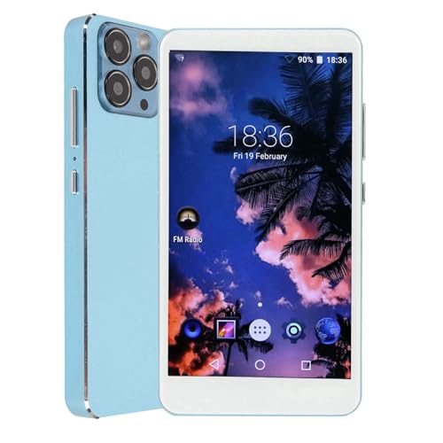 SUNGOOYUE MP4 Player 5.0 Pulgadas HD Pantalla HiFi Music Player Long Battery Life Life Enthusiasists Electronics Silver 16 Millones de Colores (Blue)