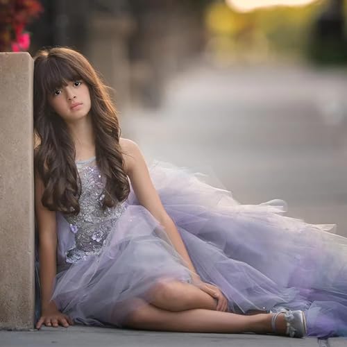 High Low Flower Girl Dresses 2025 Laces Appliques Tulle Communion Dress Ball Gown LU1404