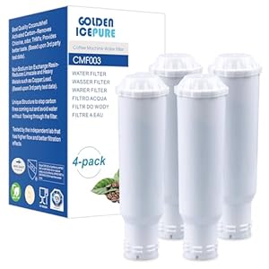 GOLDEN ICEPURE Wasserfilter 4 Stück
