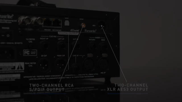 Amazon.com: Focusrite ISA ADN2 Two-Channel Precision Analog-to