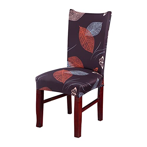 Image of House of Quirk Elastic Chair Cover Stretch Removable Washable Short Dining Chair Cover Protector Seat Slipcover (Pack of 1, Choco Leaf)