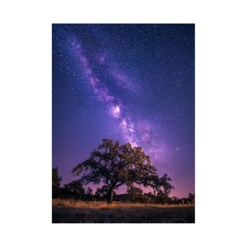 Cuadro de paisaje de montaña morado de 40x60cm para tapar imperfecciones en paredes