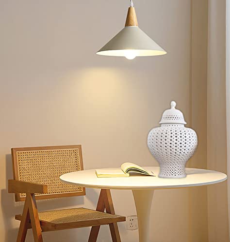 Kvaeuyr Vintage White Pierced Ginger Jar With Lid,Carved Lattice Decorative Hollow Temple Jar，Stunning Home Decor Intricate Cut Out Ceramic Vases (Small, White) #TOP2