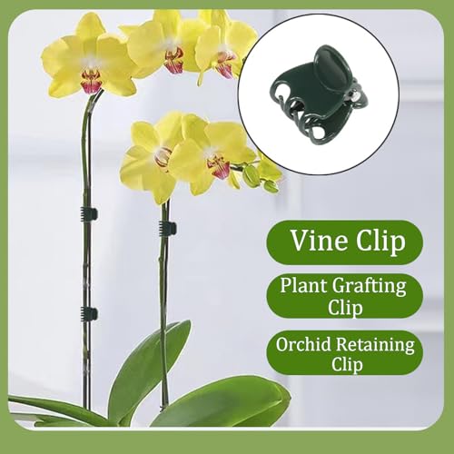 60 pcs Plant Support Clips Orchid Clips with Garden Cable Ties & Plant Tape Plastic Garden Plant Clips for Climbing Plants Flower Plastic Vine Clips Tomato Plant Support with Ties (Set A) - Image 4