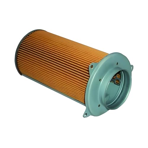 Hiflofiltro HFA3606 Premium OE Replacement Air Filter, Black