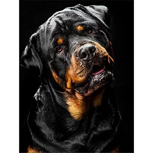 YSCOLOR Diamond Painting Diamante Pintura Rottweiler Perro Comple...
