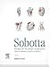 Produktbild Sobotta Tabellen Holland: Tables to 15th ed. of the Sobotta Atlas (KURZLEHRBUCH - Urban & Fischer Verlag)