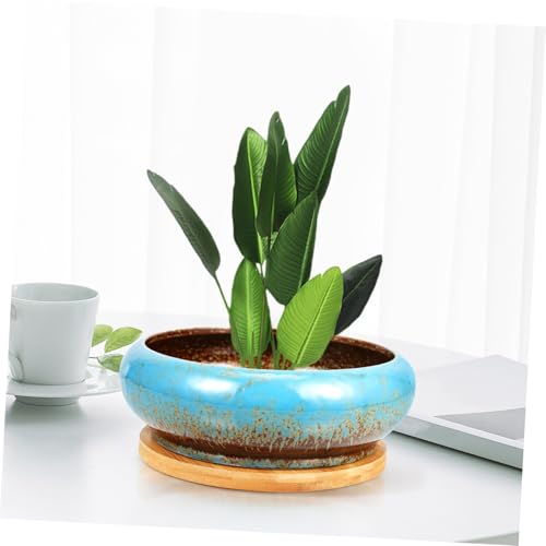 Pot de fleurs pour succulentes, solution drainage et décoration