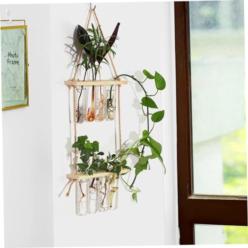 Station de propagation suspendue en verre et bois pour boutures 8 tubes 20x90 cm