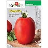 Burpee 'SuperSauce Hybrid' Tomato Seeds for Planting - Non-GMO, Indeterminate, Disease-Resistant, Paste Tomato, Burpee Bred, 50 mg Seed Packet for Home Gardening - World's Largest Sauce Tomato!