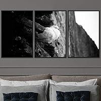 3 Piece Framed Canvas Wall Art Black and White Birds Canvas Prints Home Artwork Decoration for Living Room,Bedroom - 16