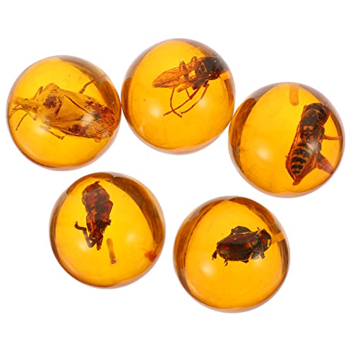 DECHOUS 5pcs Decorative Amber Crafts Samples Specimens Home Decorations Decorations Collection Specimen Amber Specimen Decor Crafts Specimen Pendants Amber Resin