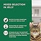 by Amazon Katzenfutter, nass, getreidefreies, für ausgewachsene Katzen, gemischte Auswahl in Gelee, 4,8 kg (48 Packungen à 100 g)