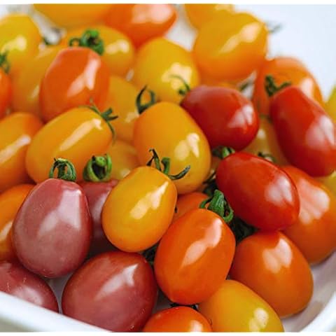 Thompson & Morgan Tomato Rainbow Blend Seeds Cover