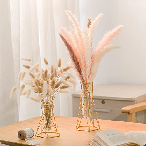 Grensuk 2 Pcs Gold Geometric Vase,Air Plant Stand,Hydroponic Plant Flower Vase Glass Test Tube,Modern Vases For Flowers As Wedding Home Office Centerpiece,Vases For Centerpieces(2Pc,6.3Inch) #TOP4