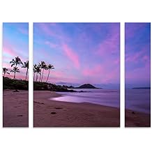 Trademark Fine Art Secret Beach by Pierre Leclerc, Large Three Panel Set