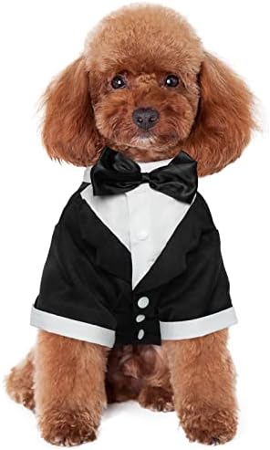 Kuoser Dog Shirt Puppy Pet Small Dog Clothes, Stylish Suit Bow Tie Costume, Wedding Shirt Formal Tuxedo with Black Tie, Dog Prince Wedding Bow Tie Suit M(Back:9.84",Chest:12.59", Neck:9.44")