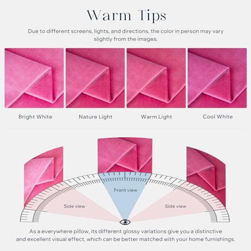 Phantoscope Pack of 2 Velvet Decorative Throw Decorative Pillow Cover Soft Solid Square Cushion Case for Couch Pink 26 x 26 inches 65 x 65 cm
