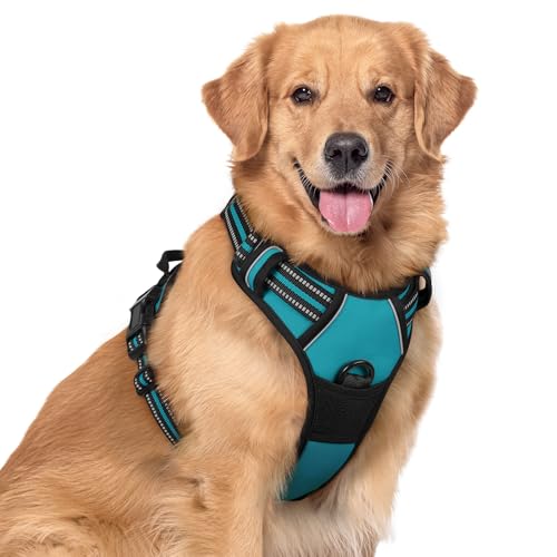 Image of rabbitgoo Dog Harness No Pull with 2 Leash Clips, Adjustable Soft Padded, Reflective Oxford No Choke Pet Vest with Easy Control Handle for Large Dogs, Teal, XL | No Choke, Adjustable, Breathable Padded, 2 Lead Rings, Reflective, Easy Control for Walking Training, XL, Teal